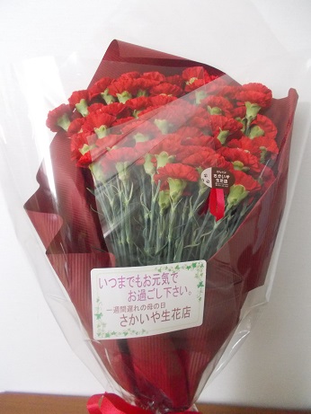 DSCN1340